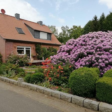Ferienwohnung Bachmanns Ruh วิตเซนดอร์ฟ ภายนอก รูปภาพ